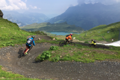 Photo-2018-07-25-10-43-48_9343