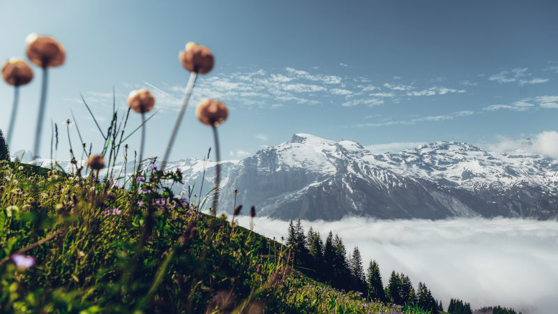 Wander & Yoga Weekend