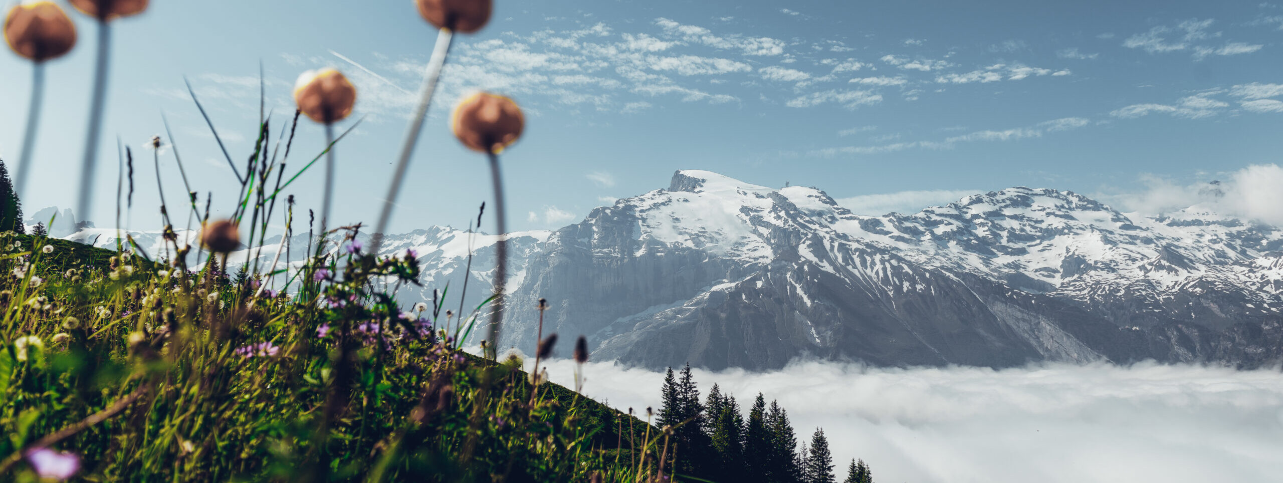 Wander & Yoga Weekend